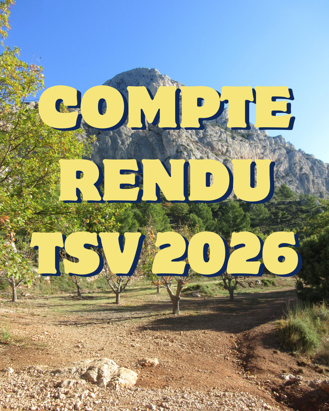 Compte Rendu TSV2026